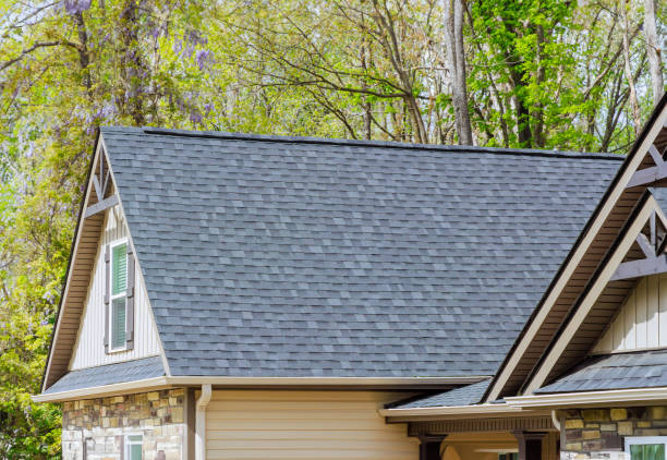 Best Chimney Flashing Repair  in Lasalle, IL