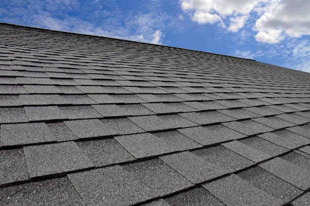 Best Roof Ventilation Installation  in Lasalle, IL